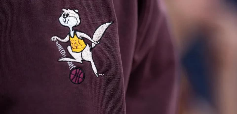 Logotipo de mascota en prenda de baloncesto