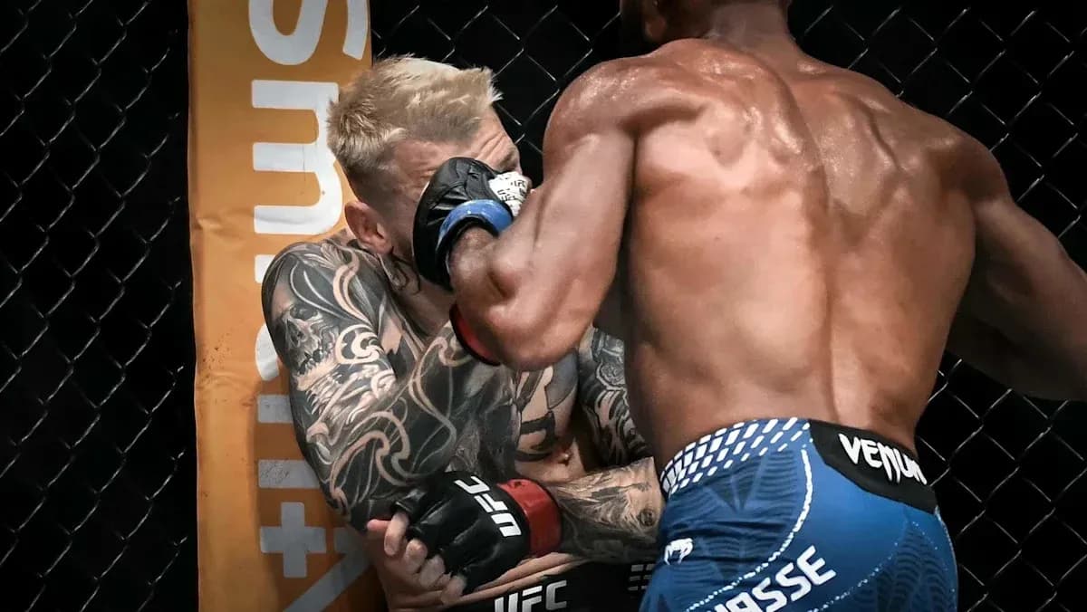 Luchadores en acción durante pelea de MMA