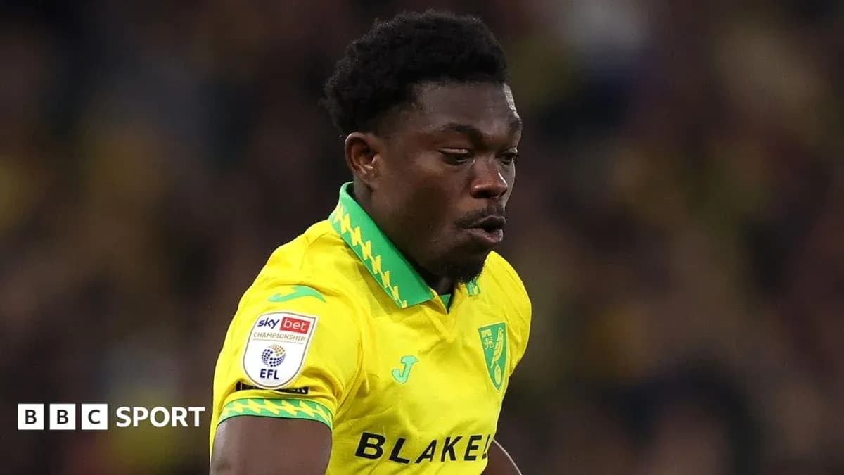 Jugador de Norwich City corriendo en el campo