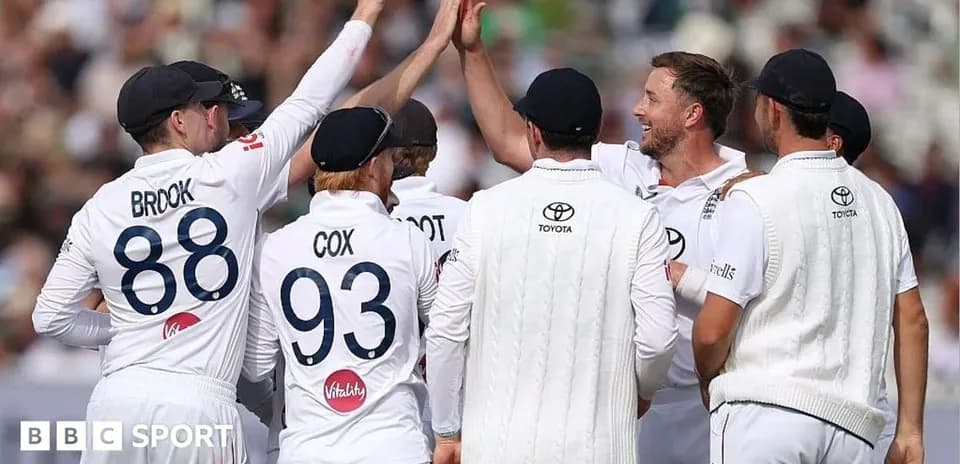 Jugadores celebrando un wicket en partido de cricket