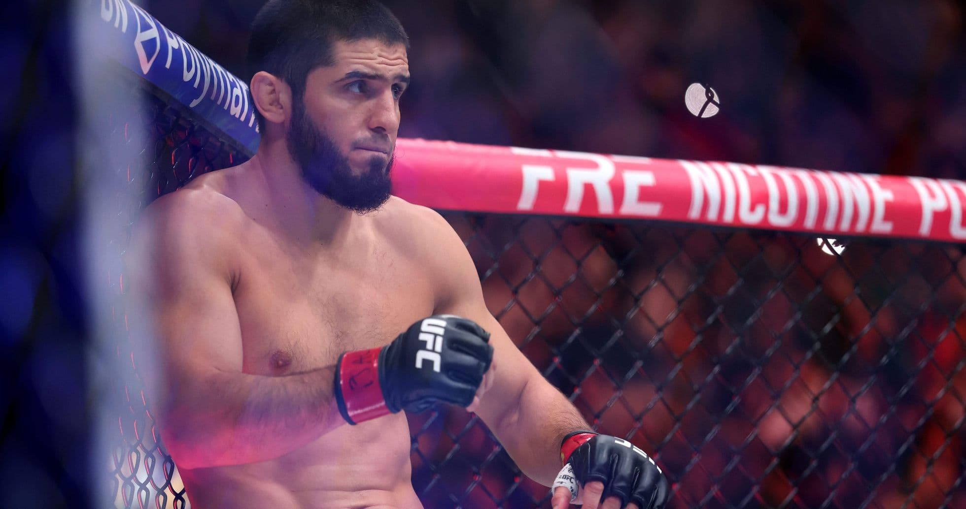Luchador sentado en la jaula de UFC