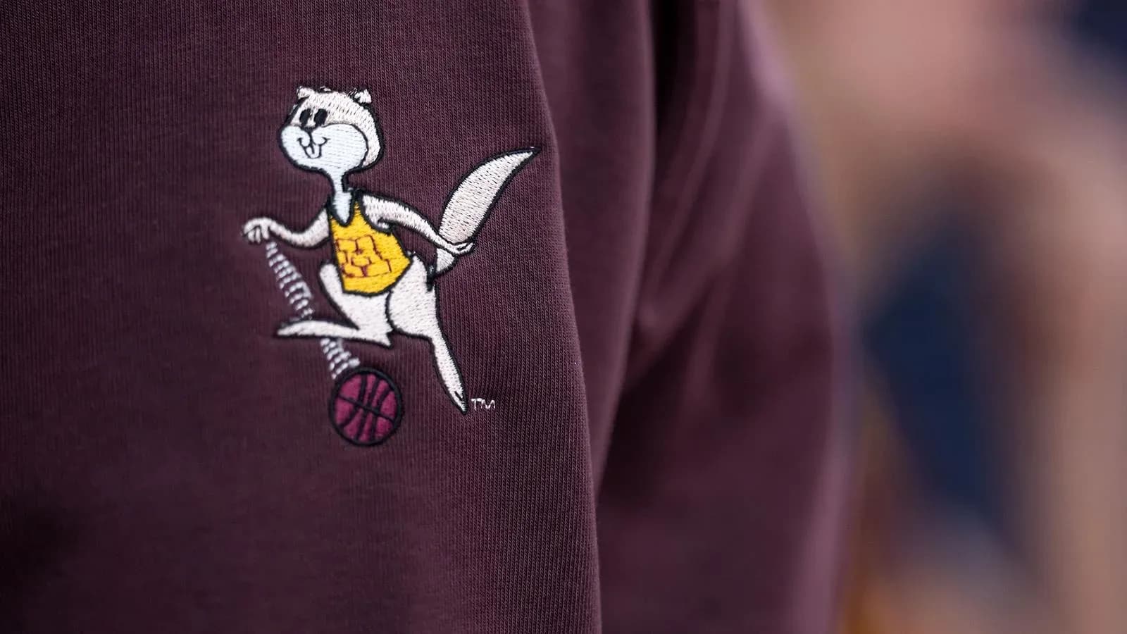 Logotipo de mascota en prenda de baloncesto Logotipo de mascota en prenda de baloncesto