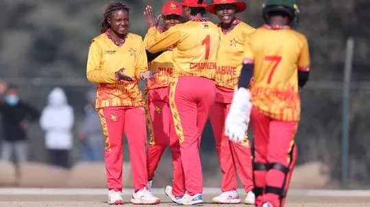 Jugadores de Zimbabue celebrando un wicket en cricket Jugadores de Zimbabue celebrando un wicket en cricket