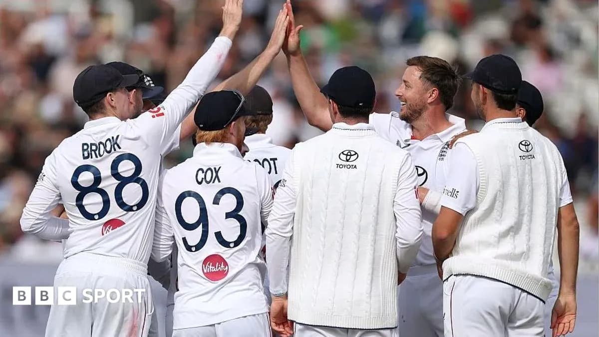 Jugadores celebrando un wicket en partido de cricket Jugadores celebrando un wicket en partido de cricket
